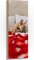 WallClassics - Hout - Hondje op Bed met Rode Rozenblaadjes - Franse Buldog - 30x90 cm - 9 mm dik - Foto op Hout (Met Ophangsysteem)