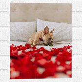 WallClassics - Muursticker - Hondje op Bed met Rode Rozenblaadjes - Franse Buldog - 30x40 cm Foto op Muursticker