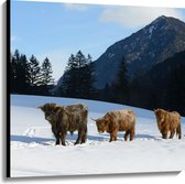 Canvas - Drie Schotse Hooglanders in Sneeuw Landschap bij Bergen - 100x100 cm Foto op Canvas Schilderij (Wanddecoratie op Canvas)