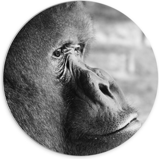 WallClassics - PVC Schuimplaat Muurcirkel - Opzijkijkende Gorilla in het Zwart-wit - 70x70 cm Foto op Muurcirkel (met ophangsysteem)