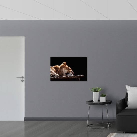 WallClassics - Drapeau - Lion Endormi - Teeuw - 90x60 cm Photo sur Drapeau Polyester