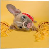WallClassics - Vlag - Hondje tussen Frietjes met Gele Achtergrond - 50x50 cm Foto op Polyester Vlag