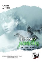 Imaginaire 2 - Les Âmes-Jumelles #2