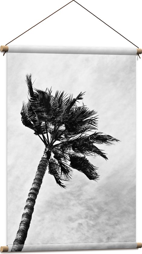 Textielposter - Harde Wind bij Palmboom - Zwart/Wit - 60x90 cm Foto op Textiel