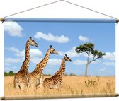 Textielposter - Giraffen in het Hoge Gras - 90x60 cm Foto op Textiel