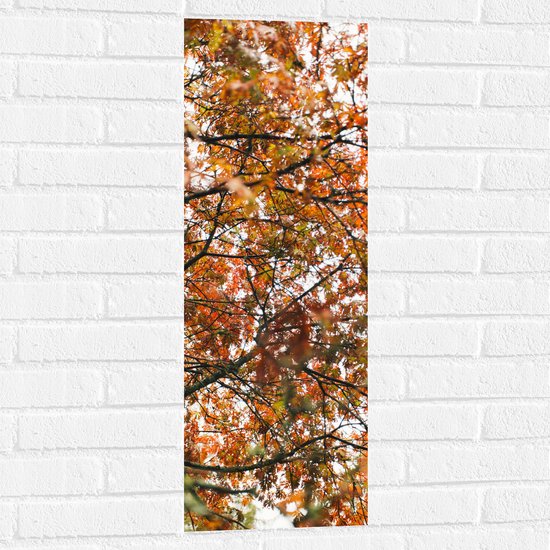 Muursticker - Herfst Bladeren in een Boom - 30x90 cm Foto op Muursticker
