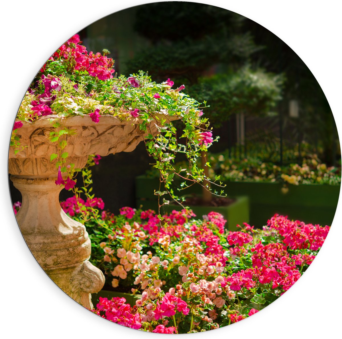 Dibond Muurcirkel - Felroze Bloemen uit Fontein - 90x90 cm Foto op Aluminium Muurcirkel (m