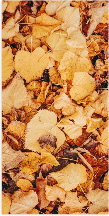 Poster (Mat) - Herfstige Bladeren op de Grond - 50x100 cm Foto op Posterpapier met een Matte look