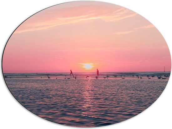 Dibond Ovaal - Roze Zonsondergang aan Zee met Meeuwen - 68x51 cm Foto op Ovaal (Met Ophangsysteem)
