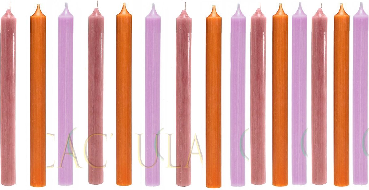 Cactula | dinerkaarsen 19,5 cm | Fall US Forest | Oud Roze / Orange / Lila 15 stuks