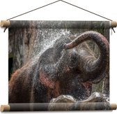 WallClassics - Textielposter - Kleine Olifant Speelt met Water - 40x30 cm Foto op Textiel