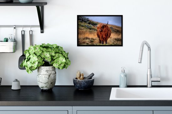 Cadre photo Highlander écossais sur colline noir sans passe partout