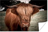 Poster Highlander écossais aux longues cornes papier 180x120 cm - Tirage photo sur Poster (décoration murale salon / chambre) / Poster Animaux sauvages XXL / Groot format!