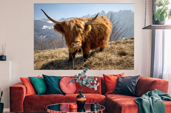Poster Highlander écossais avec fourrure laineuse papier 180x120 cm - Tirage photo sur Poster (décoration murale salon / chambre) / Poster Animaux sauvages XXL / Groot format!