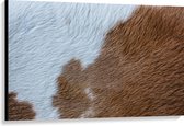 WallClassics - Canvas - Huid van een Koe - 120x80 cm Foto op Canvas Schilderij (Wanddecoratie op Canvas)