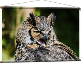 WallClassics - Affiche Textile - Chouette Béante - 120x80 cm Photo sur Textile