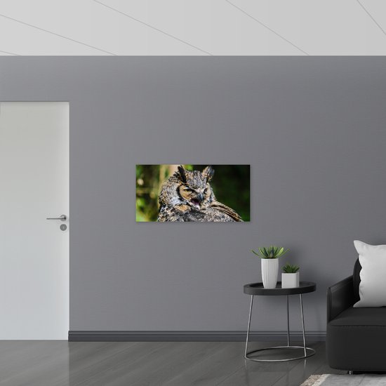 WallClassics - Drapeau - Chouette bâillante - Photo sur drapeau polyester 100 x 50 cm