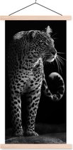 Porte-affiche avec affiche - Affiche scolaire - Animaux sauvages - Léopard - Nature - Zwart - Wit - 60x120 cm - Lattes transparentes