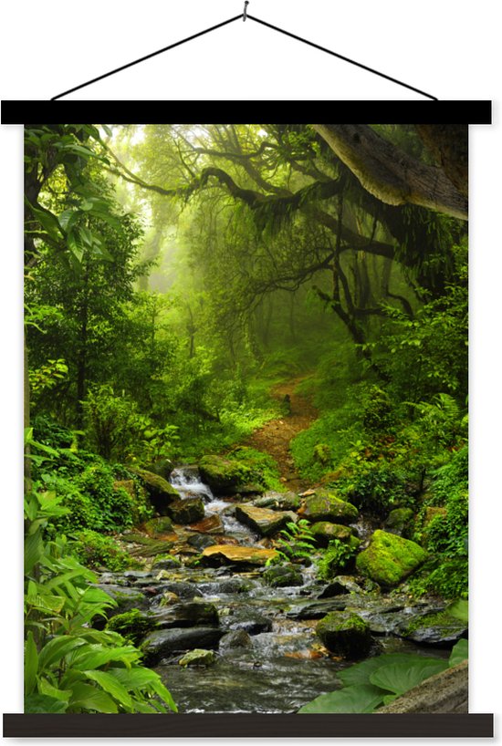 Posterhanger incl. Poster 60x80 cm - Schoolplaat - Natuur - Water - Jungle - Bos - Tropisch - Textielposter - Zwarte latten