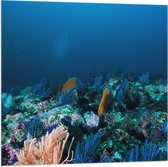WallClassics - Drapeau - Corail Sous Water - 80x80 cm Photo sur Drapeau Polyester