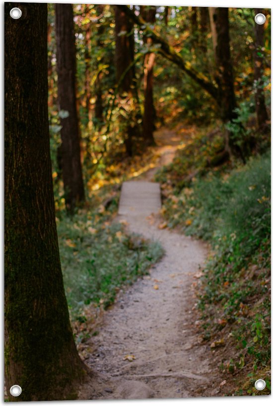 WallClassics - Tuinposter – Wandelpad in het Bos - 50x75 cm Foto op Tuinposter (wanddecoratie voor buiten en binnen)