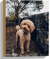 WallClassics - Hout - Vrolijke Bruine Hond - 30x40 cm - 9 mm dik - Foto op Hout (Met Ophangsysteem)