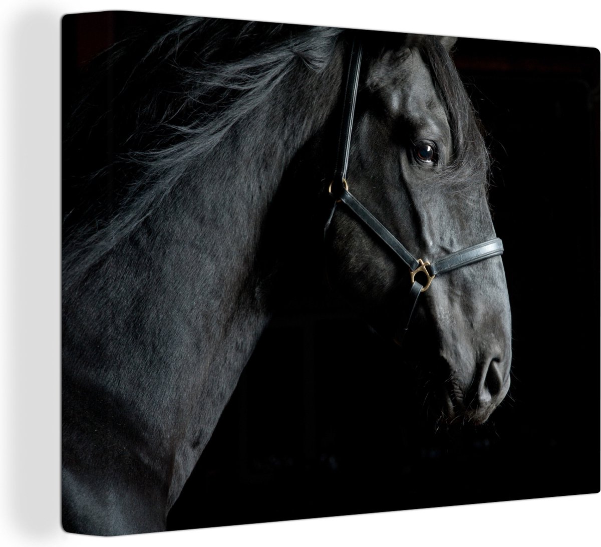 La tête d'un cheval en toile noir et blanc 140x90 cm - Tirage photo sur  toile