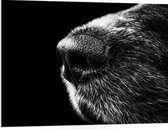 WallClassics - PVC Schuimplaat - Honden Snuit Zwart met Wit - 100x75 cm Foto op PVC Schuimplaat (Met Ophangsysteem)
