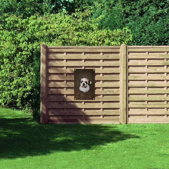 WallClassics - Poster de jardin - Klein chien regarde vers le haut - 50x75 cm Photo sur Poster de jardin (décoration murale pour l'extérieur et l'intérieur)