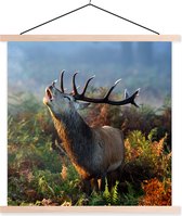 Porte-affiche avec affiche - Affiche scolaire - Cerf - Forêt - Brouillard - 120x120 cm - lattes vierges