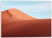 WallClassics - Plaque de Mousse PVC - Collines de Sable dans le Désert - Photo 40x30 cm sur Plaque de Mousse PVC