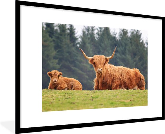 Fotolijst incl. Poster - Schotse Hooglanders - Gras - Bos - 120x80 cm - Posterlijst