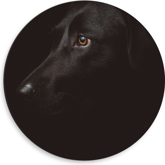 WallClassics - Dibond Muurcirkel - Zwarte Artistieke Hond - 50x50 cm Foto op Aluminium Muurcirkel (met ophangsysteem)