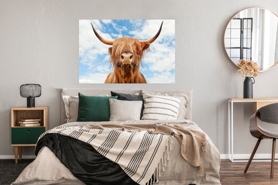 Affiche Highlander écossais - Nuage - Animaux - 120x80 cm