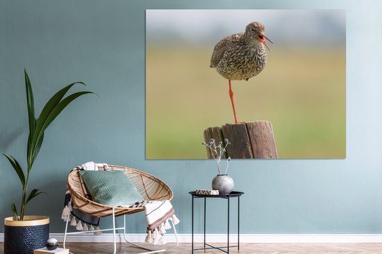 Redshank debout sur une jambe Toile 160x120 cm - Tirage photo sur toile (Décoration murale salon / chambre) XXL / Groot format!