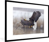 Fotolijst incl. Poster - Een Amerikaanse zeearend met gespreide vleugels. - 80x60 cm - Posterlijst