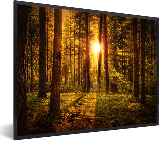 Poster - Fotolijst - Zon - Bos - Groen - Natuur - 80x60 cm - Poster kader - Kamer decoratie - Poster bos - Foto in lijst - Poster natuur - Poster met frame