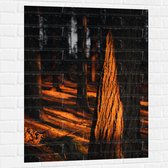 WallClassics - Muursticker - Oranje Zonlicht in het Bos - 75x100 cm Foto op Muursticker