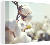 Toile Peinture Plantes - Bloem - Branche - Nature - 160x120 cm - Décoration murale XXL