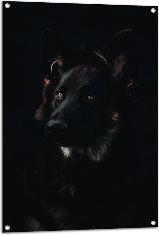 WallClassics - Tuinposter – Zwarte Hond met Zwarte Achtergrond - 70x105 cm Foto op Tuinposter  (wanddecoratie voor buiten en binnen)