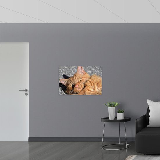 WallClassics - Plaque de Mousse PVC - Chat Tabby Oranje - 90x60 cm Photo sur Plaque de Mousse PVC