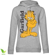 Garfield Hoodie/trui -2XL- Garfield Grijs