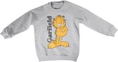 Garfield Sweater/trui kids -Kids tm 6 jaar- Garfield Grijs
