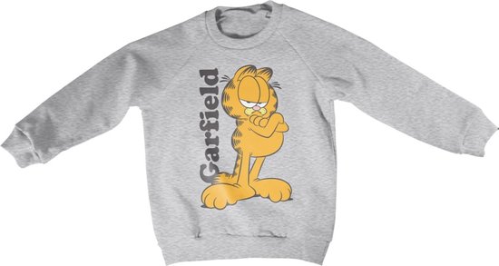 Garfield Sweater/trui kids -Kids tm jaar- Garfield Grijs