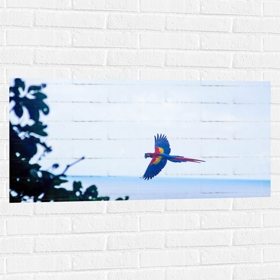 WallClassics - Muursticker - Vliegende Ara boven het Water - 100x50 cm Foto op Muursticker