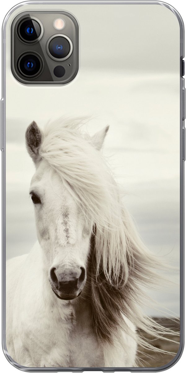 Telefoonhoesje Geschikt voor iPhone 12 Pro Max hoesje - Paard - Strand - Manen - Siliconen Telefoonhoesje Telefoonhoesje