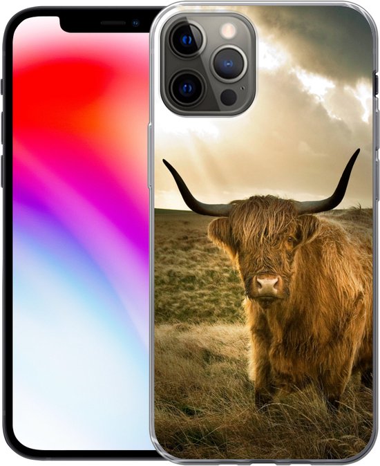 Coque iPhone 13 Pro - Highlander écossais - Soleil - Animaux - Siliconen