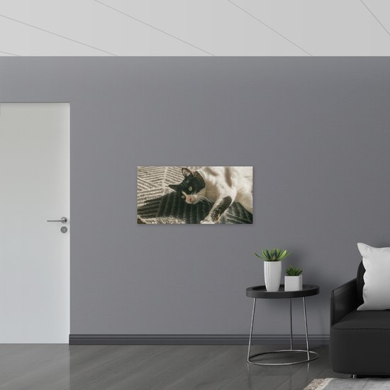WallClassics - Muursticker - Chat Witte à Tête Zwart - 100x50 cm Photo sur Muursticker