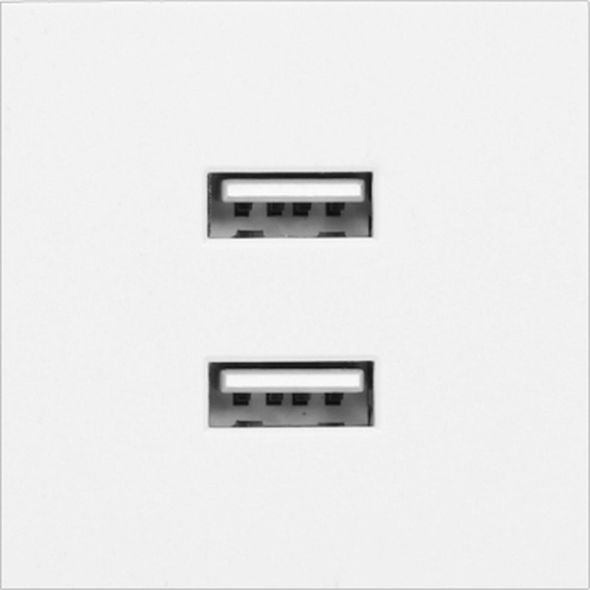 USB inbouwmodule - 2 poorten - 45 x 45mm - Wit
