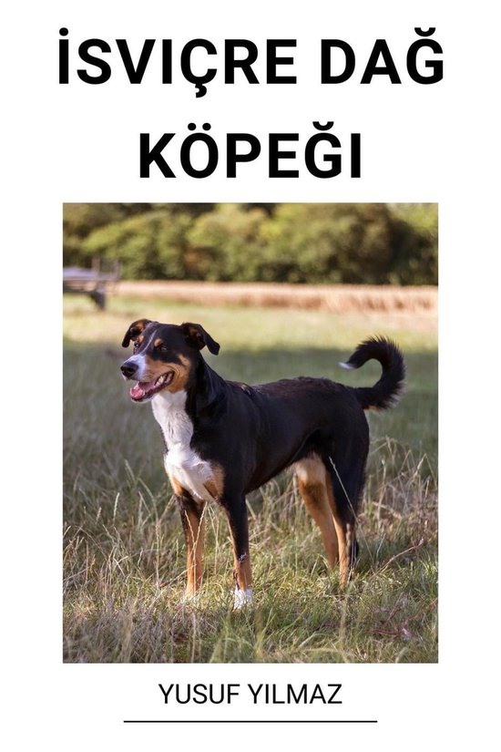 İsviçre Dağ Köpeği